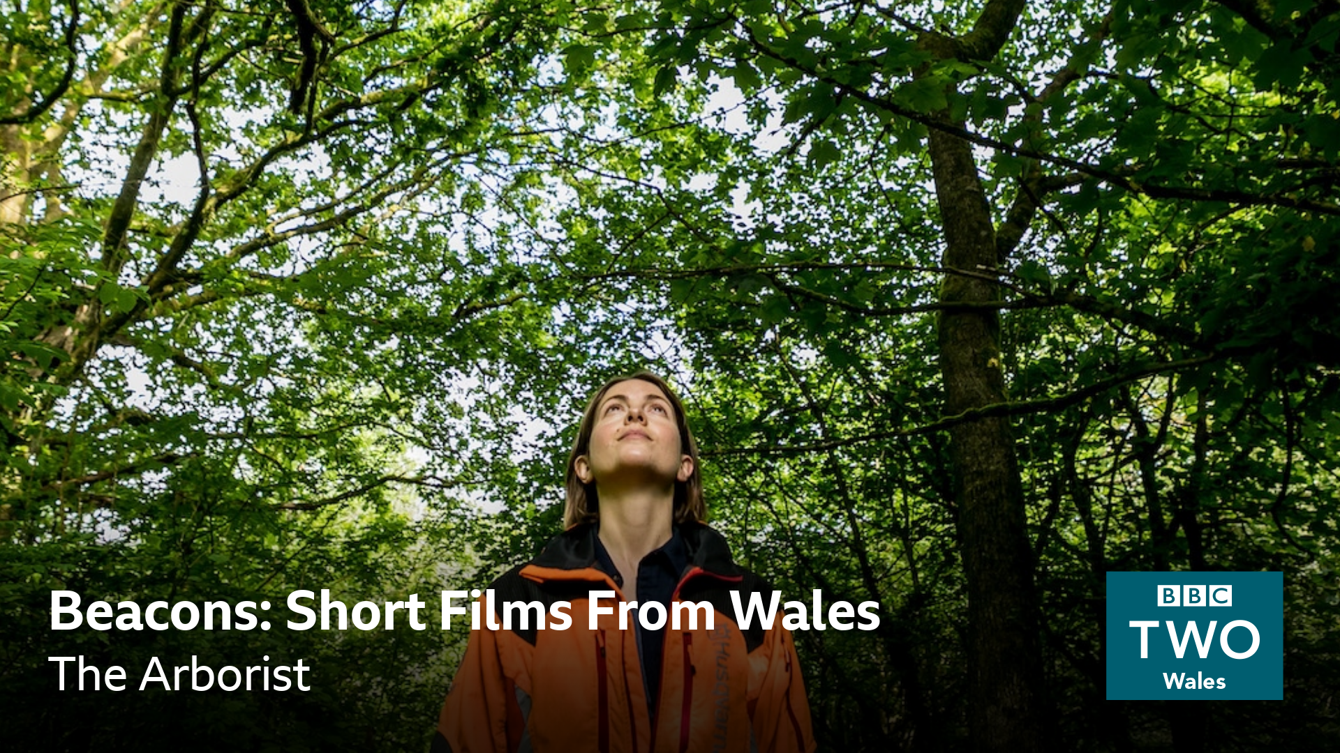 catrin stewart looks up at trees