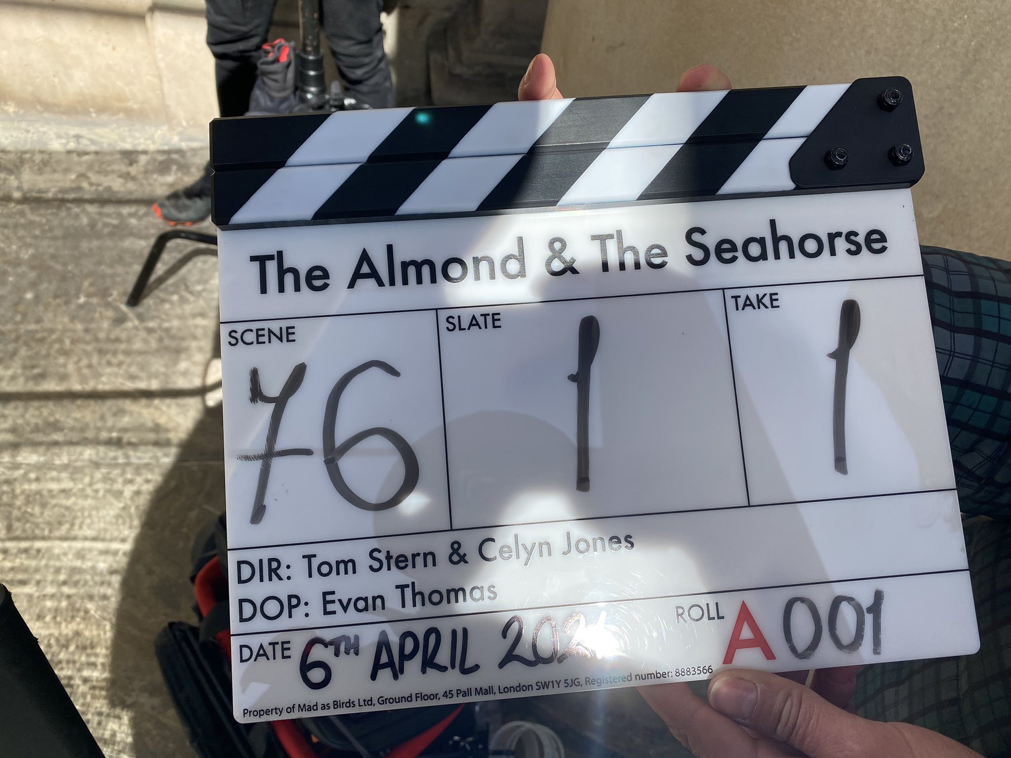 clapperboard for almond and the seahorse