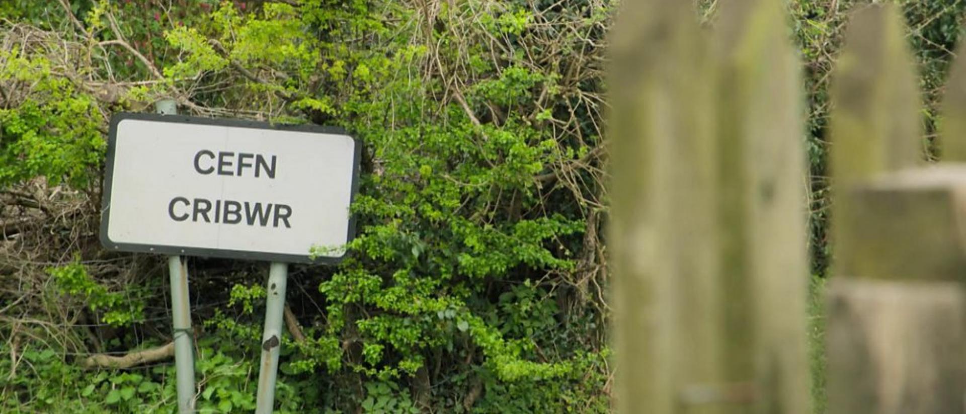 Still from Two B or Not Two B featuring a road sign that says Cefn Cribwr in front of a bush.