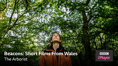 catrin stewart as Laura in the arborist, looking up at some green trees