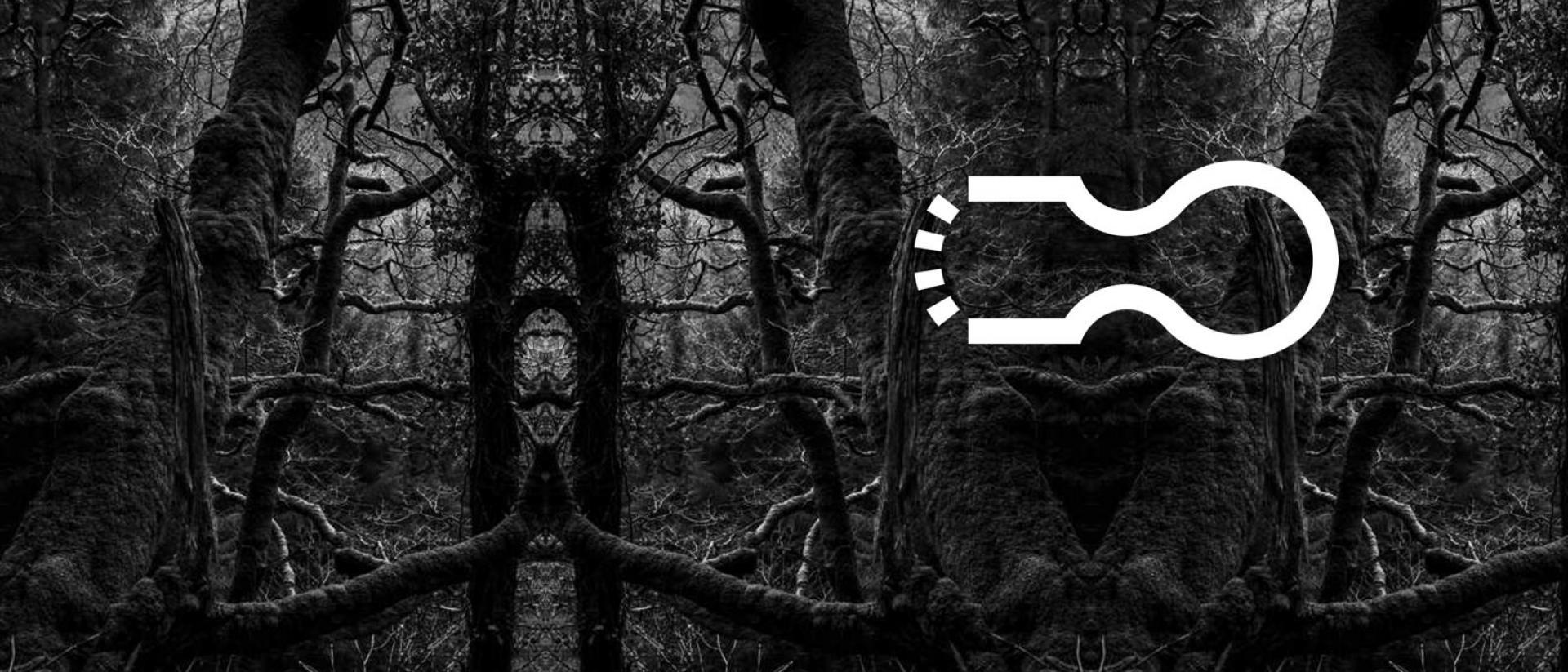 black and white photo of a forest